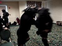 HIGH GEAR GANG FIGHT