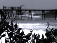 Winter Solstice