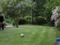 Dizzy Penalties