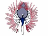 The Tulip and the Heartflower