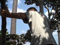In A Tree