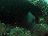 The Arches, Rathlin 25m