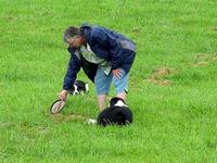 Panasonic ZS3 Border Collies Running