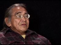 Swift Buckskin Horse on World Peace.