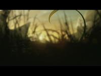 Madder Mortem Music Video Teaser
