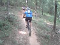 dauset race cont.