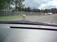 Approaching Cutter Ranch