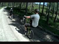 Munderfing to Mattighofen via the forest