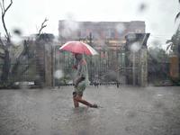 Index insurance for development and disaster management