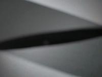 Pallium - Experiment 1
