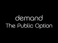 My NSFW Healthcare Reform Video