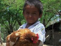 Western Hills church of Christ Animal Blessings for Honduras