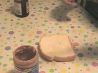 Sandwich Fatality