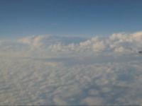 Flying Home
