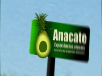 Anacate Teaser