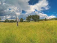 a landscape