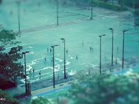 Tilt Shift Park