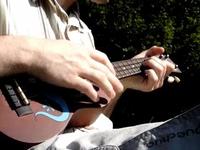 Rabbits love ukulele