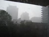 Montreal Storm