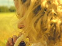 Barren Festival (shot with 35mm DOF Adapter)