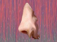 Ode to the body (unconscious)