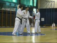 Taekwondo Graz - Freikampf Hannes und Rene in Porec