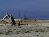 Salton Sea