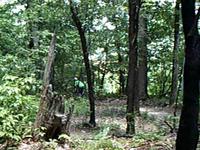 Mountain biking at Wisp