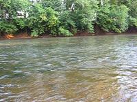 down by the river