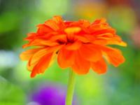 Explorations in DOF