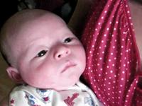 Jake at 27 Days Old