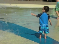 Fun in the Sun