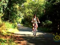Biking DC