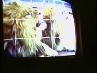 Clips from Angela Singer's Home Movies