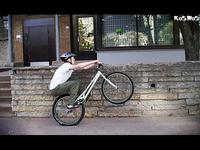 zoobike june 2009
