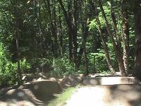 Trails. 6/28/09