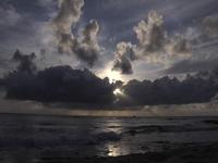 Amazing Ocean