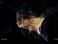 Flight Patterns - Color