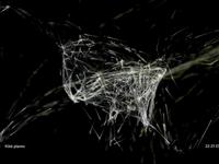 Flight Patterns