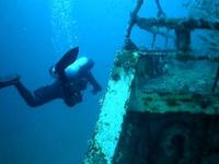Sand Tiger Sharks on the Spar wreck off Beaufort, NC
