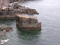 St Govan's Head, Pembrokeshire