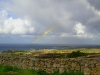 Best Malta's spring landscapes   HD