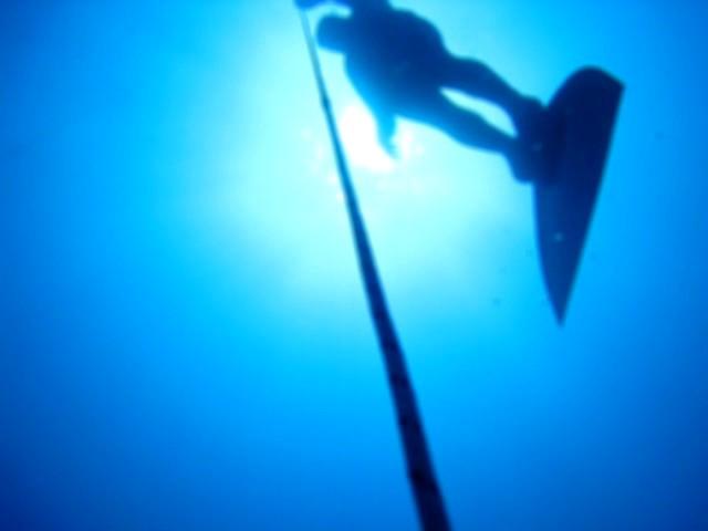 Freediving in Israel - Training Day