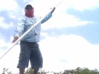 Salt on the Lens II - Tarpon