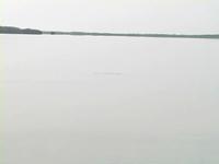 Salt on the Lens I - Permit