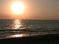 Florida Beach