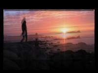 Trailer "On the road again"