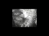 CYNE - Running Water