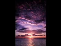 Photography Portfolio