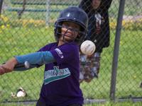 2009 EBSA Tigers